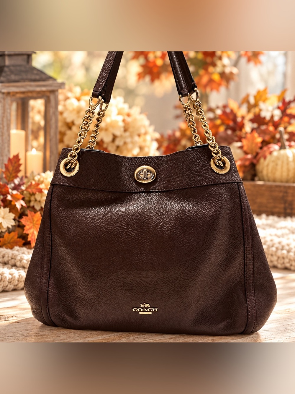 COACH EDIE Turn-lock Shoulder Bag Oxblood 36855